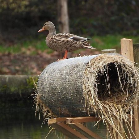 Maison D'Hotes En Pleine Nature Avec Chevaux Soucht Zewnętrze zdjęcie