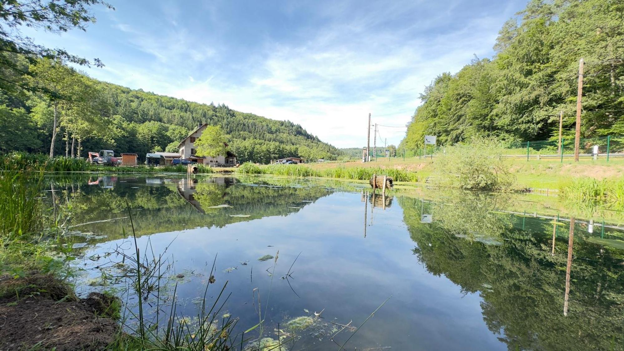 Maison D'Hotes En Pleine Nature Avec Chevaux Soucht Zewnętrze zdjęcie