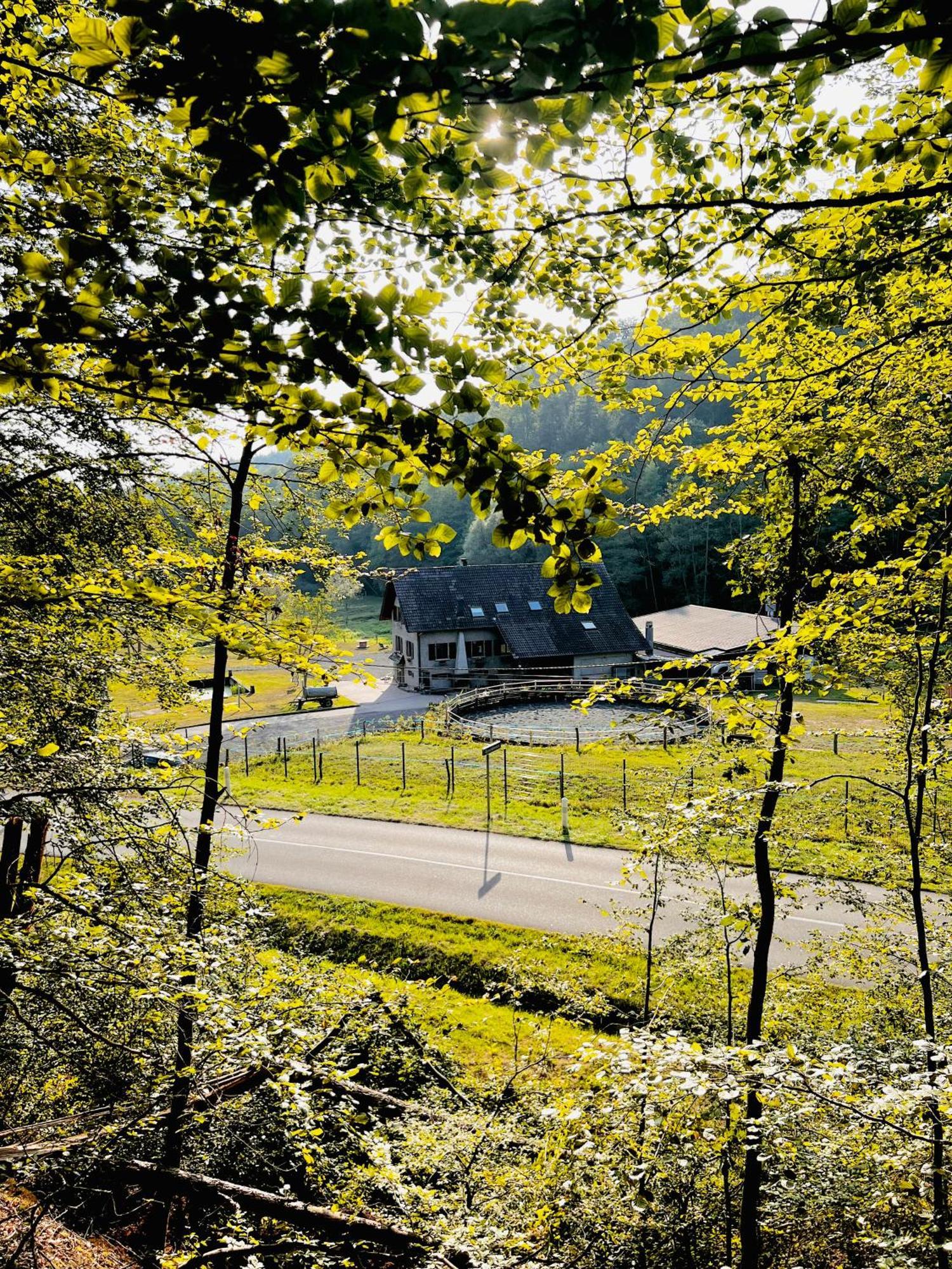 Maison D'Hotes En Pleine Nature Avec Chevaux Soucht Zewnętrze zdjęcie